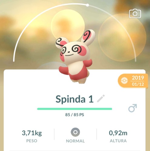 Pokemon spinda pandir - spinda,