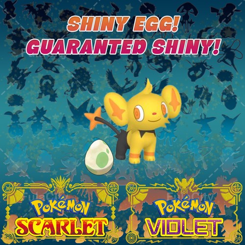 Shinx pokemon viola scarlatto - viola,